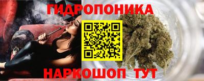 индика Пыть-Ях