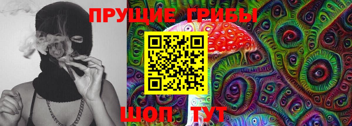 Партизанск  Псилоцибиновые грибы прущие грибы  Псилоцибиновые грибы прущие грибы  Вход с VPN 