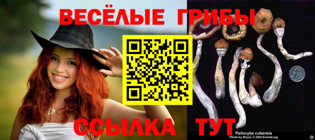 Псилоцибиновые грибы Cubensis Партизанск